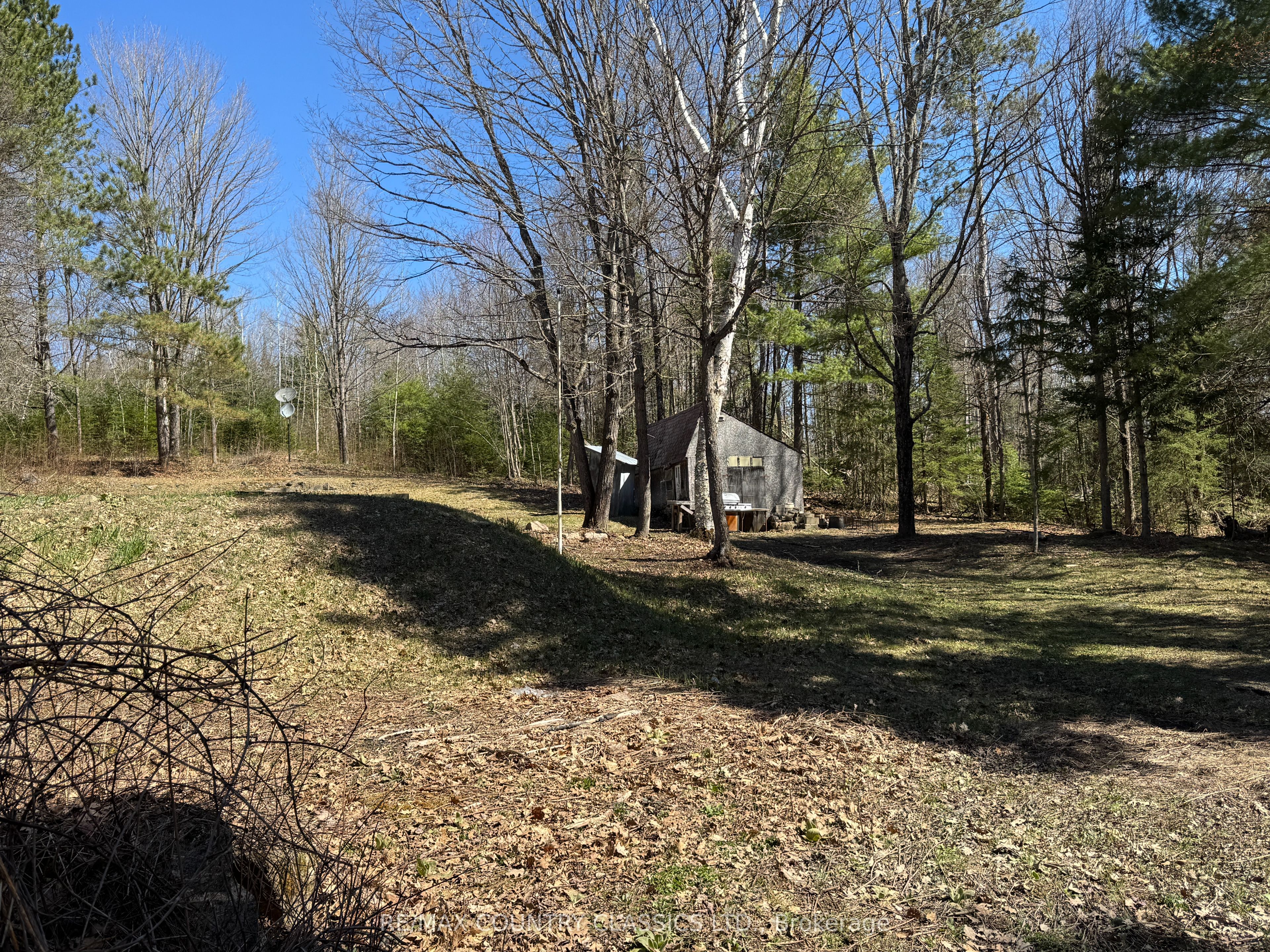 1703 Boulter Road Property Photo 5
