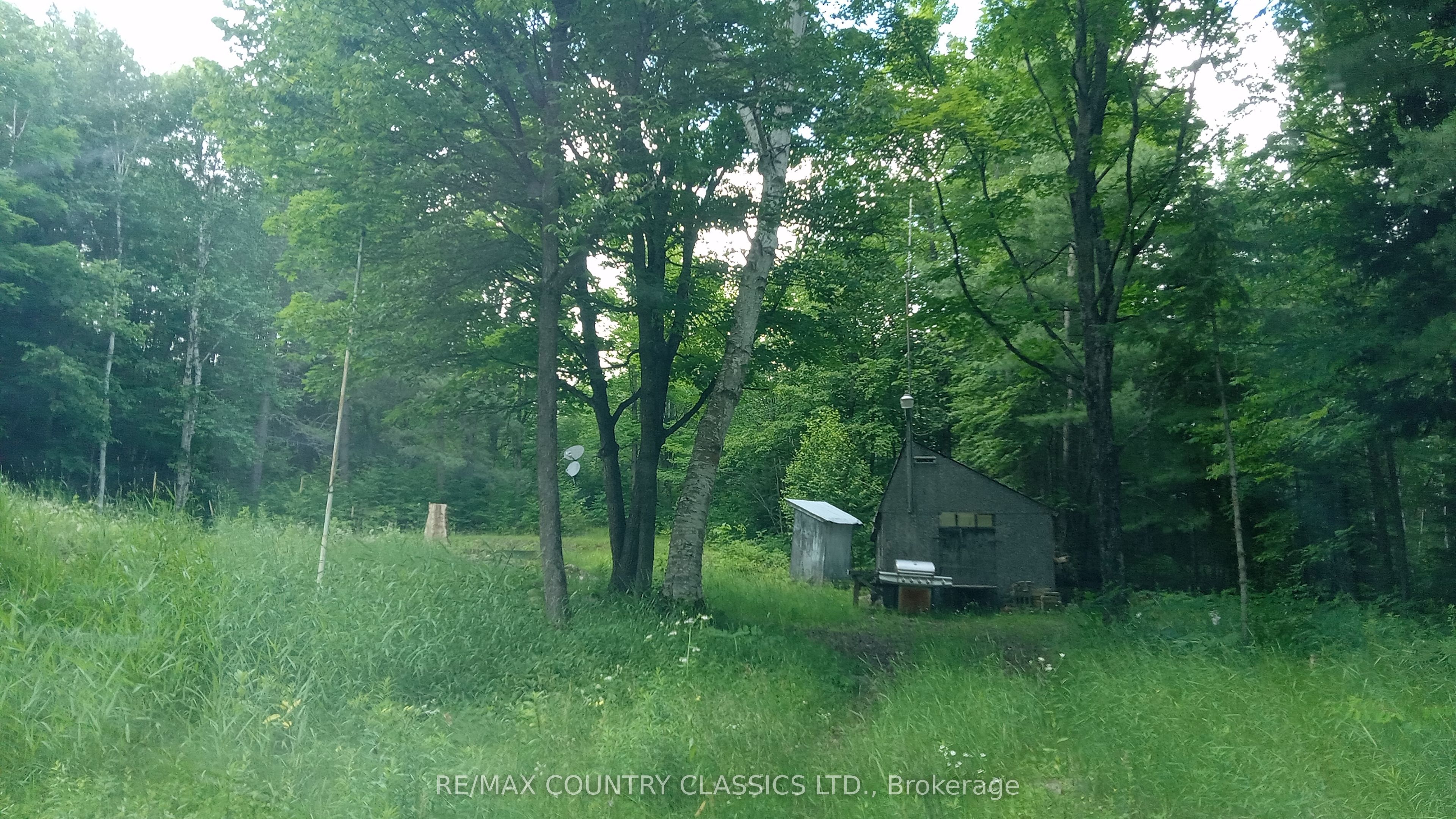 1703 Boulter Road Property Photo 9