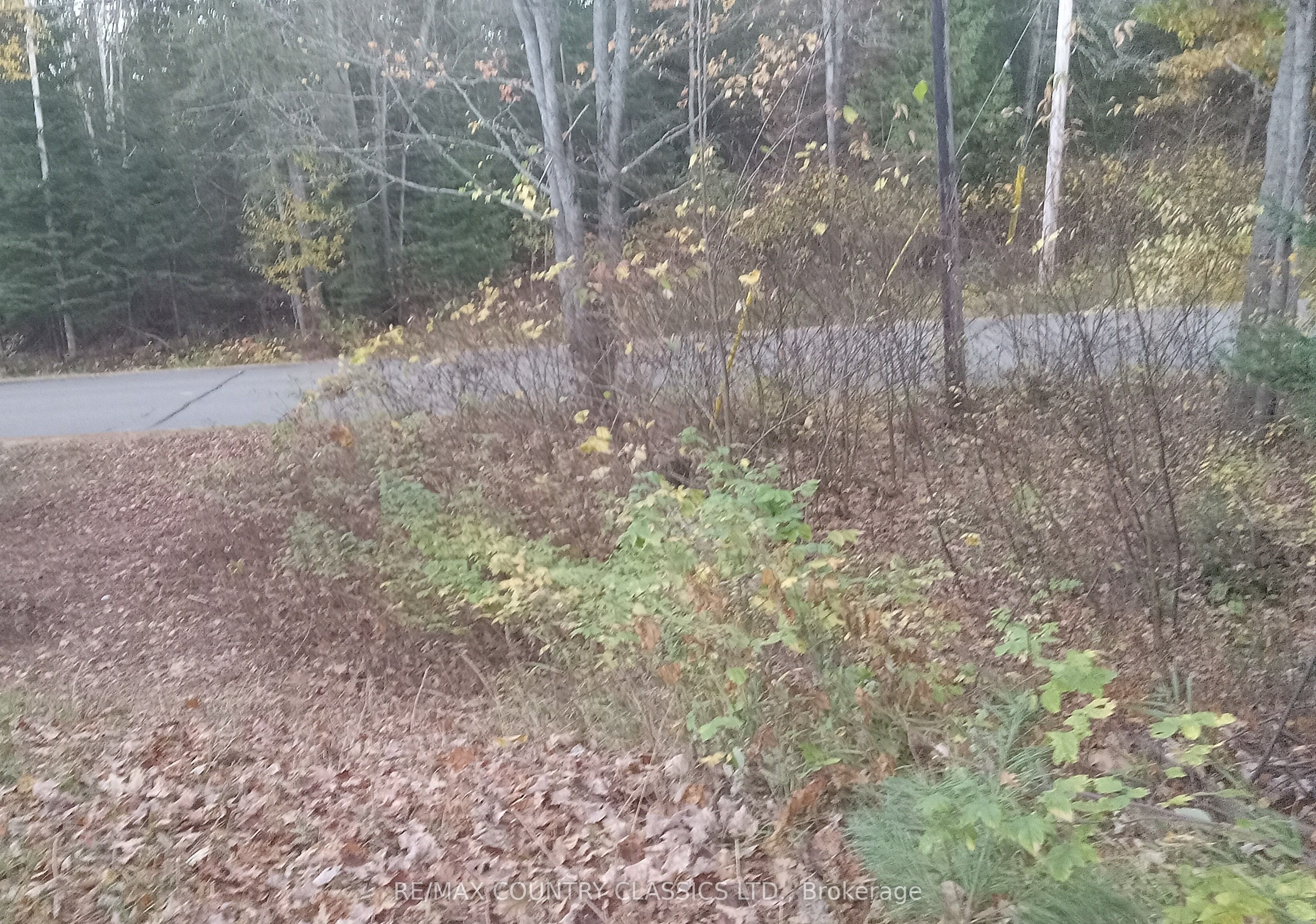 1703 Boulter Road Property Photo 10