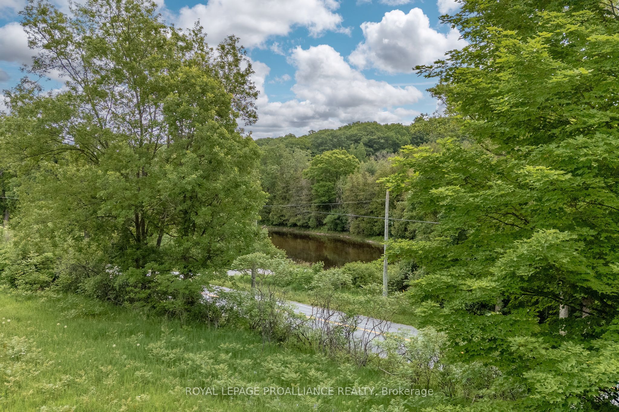 5035 Blessington Road Property Photo 12