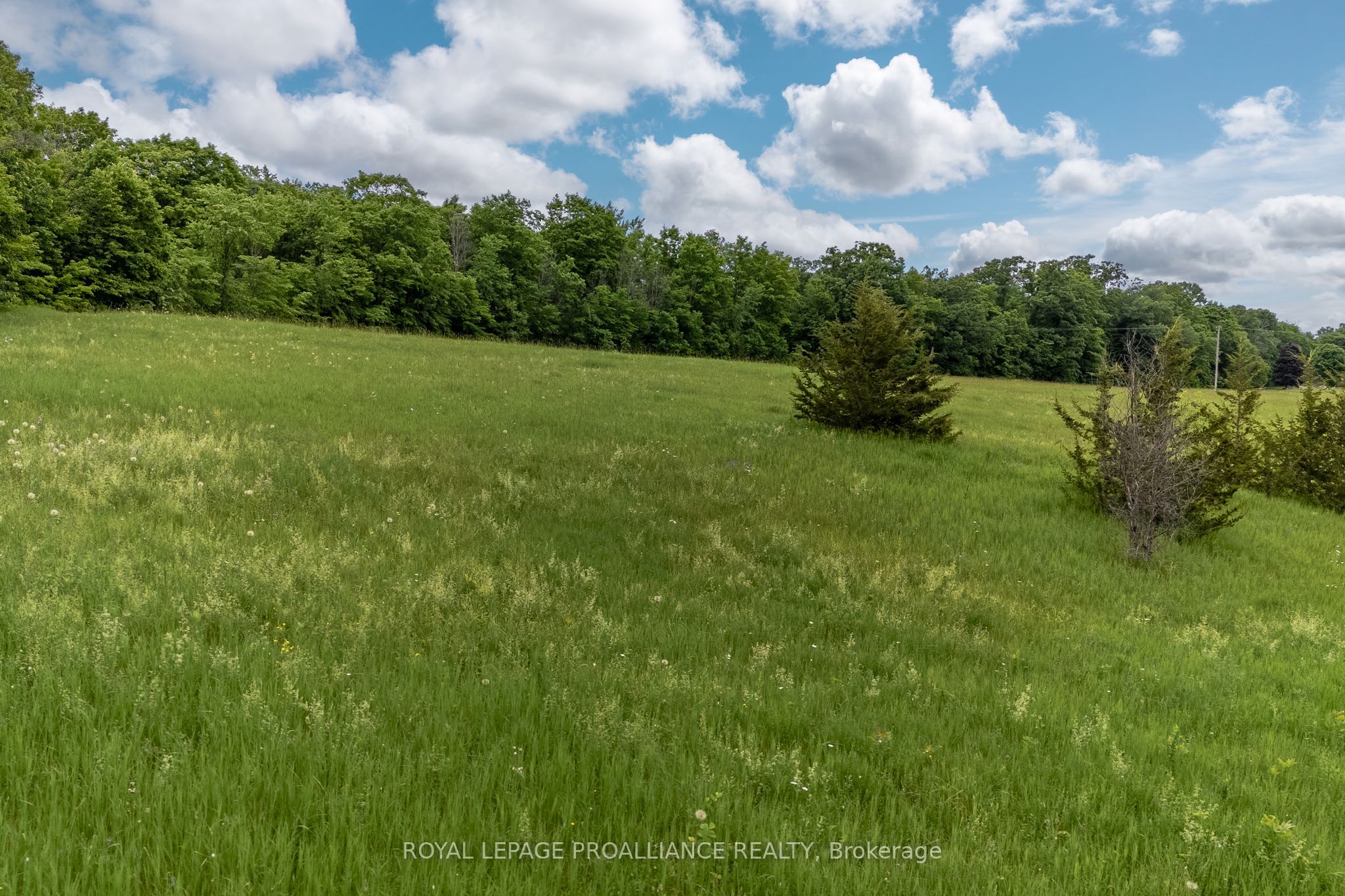 5035 Blessington Road Property Photo 13