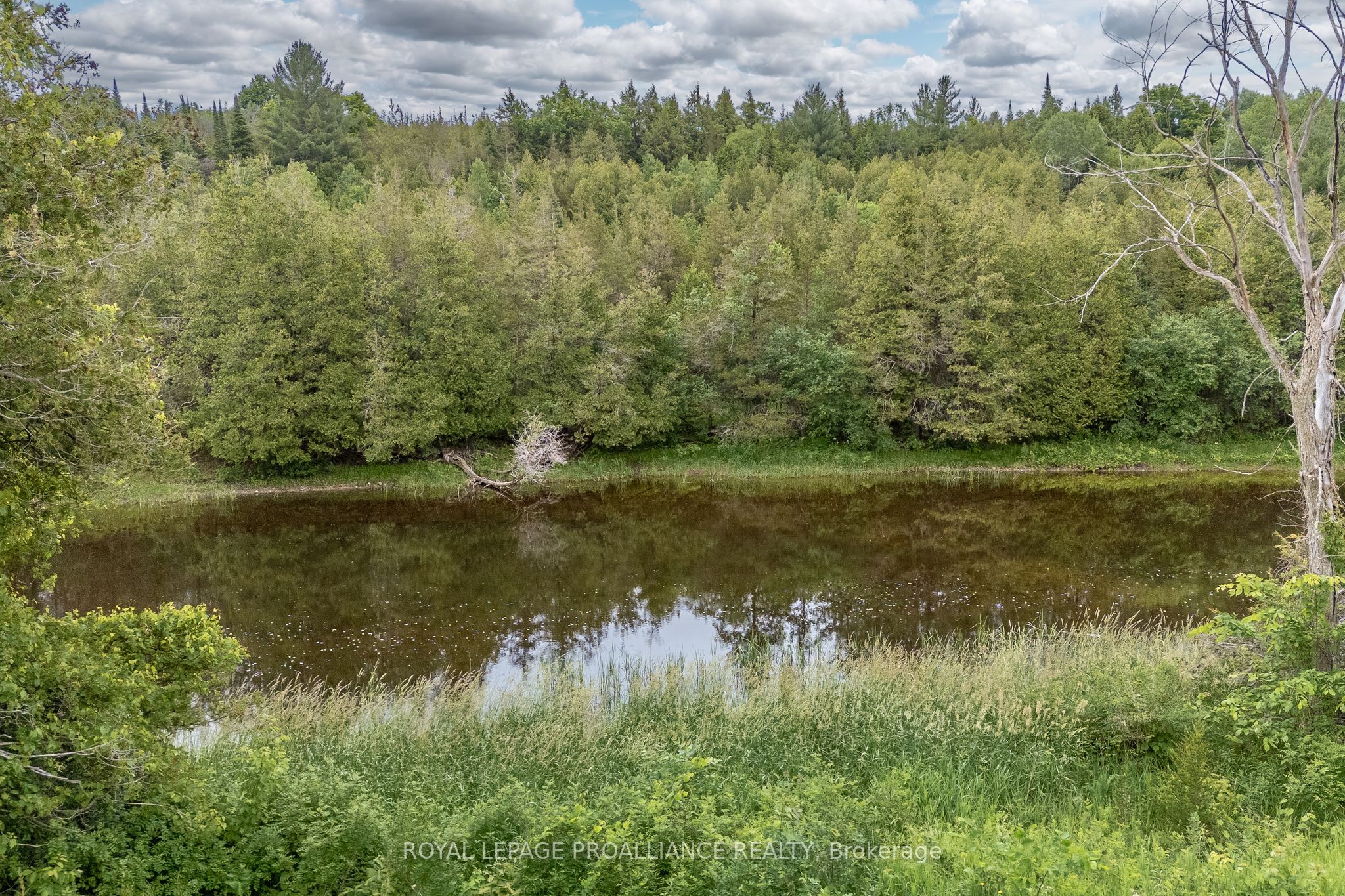 5035 Blessington Road Property Photo 16