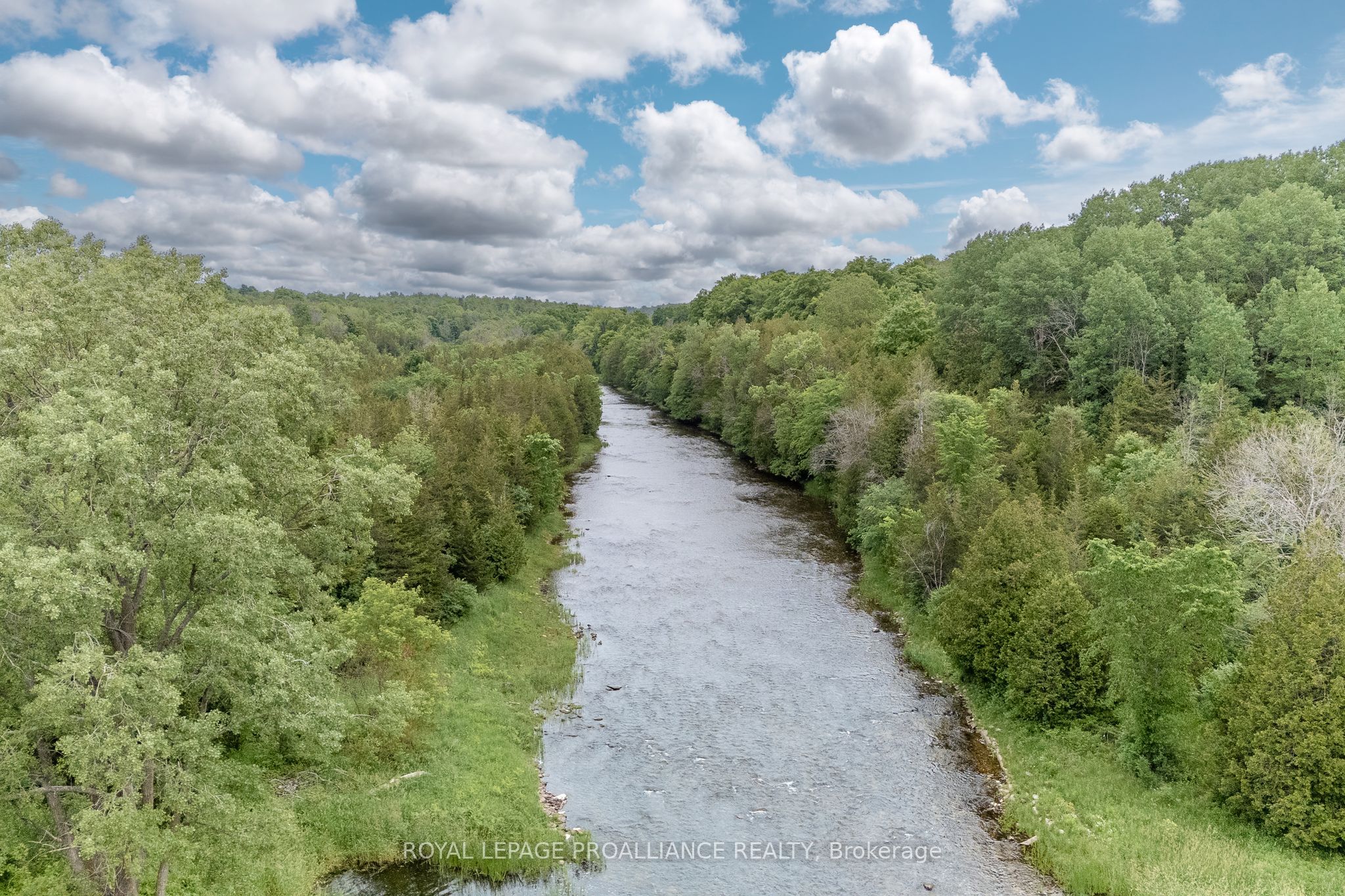 5035 Blessington Road Property Photo 18