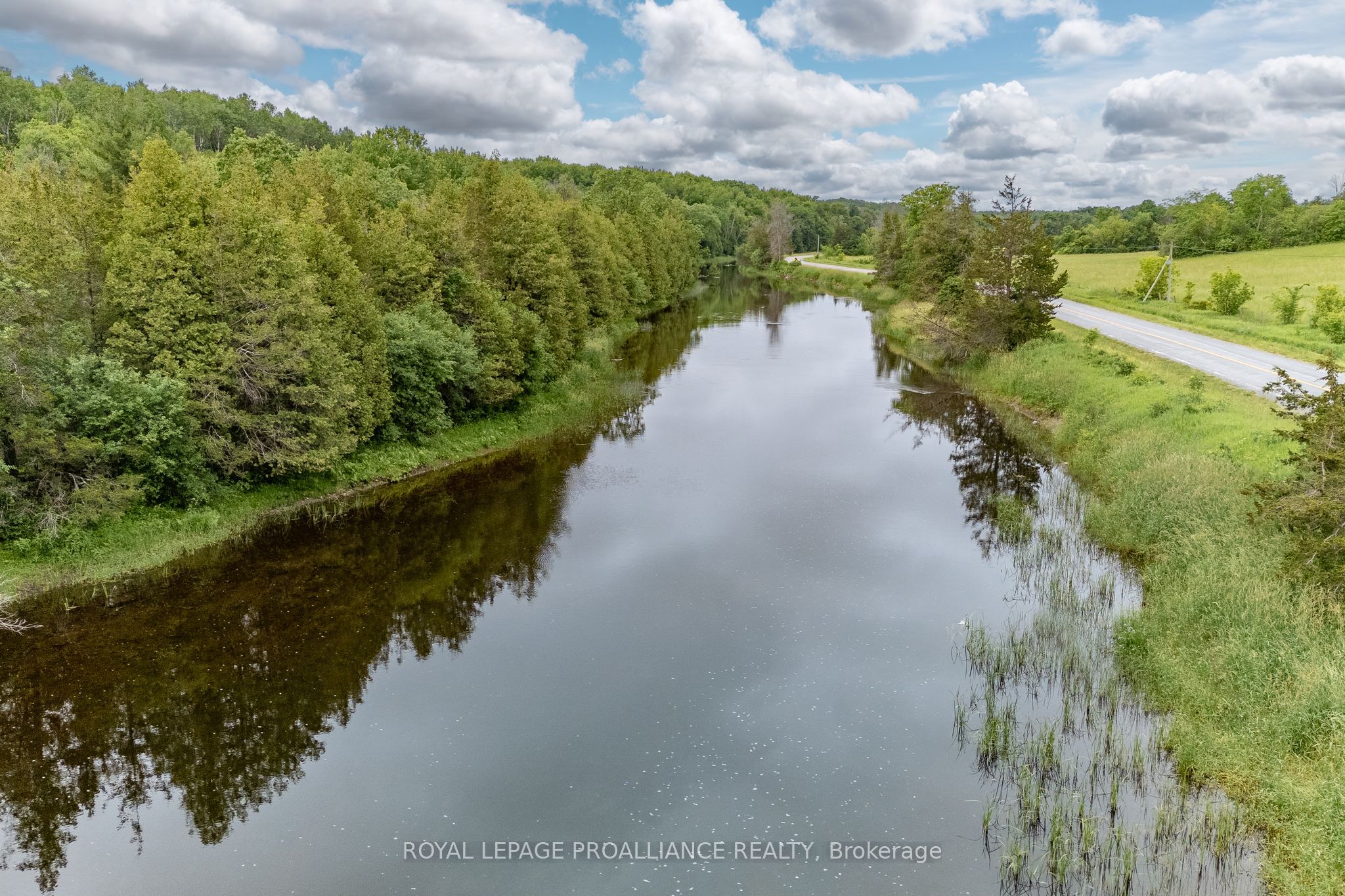 5035 Blessington Road Property Photo 19