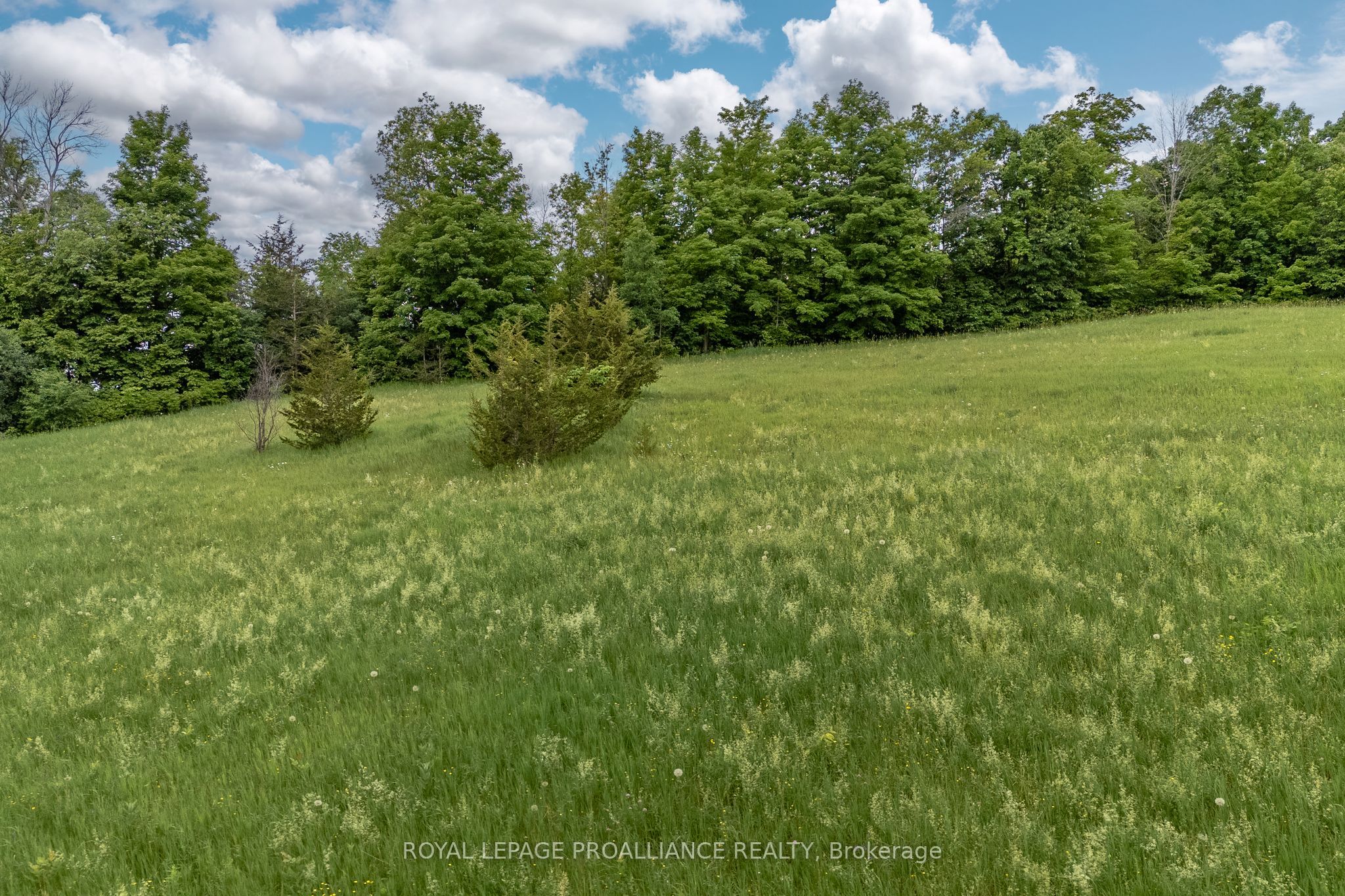 5035 Blessington Road Property Photo 23