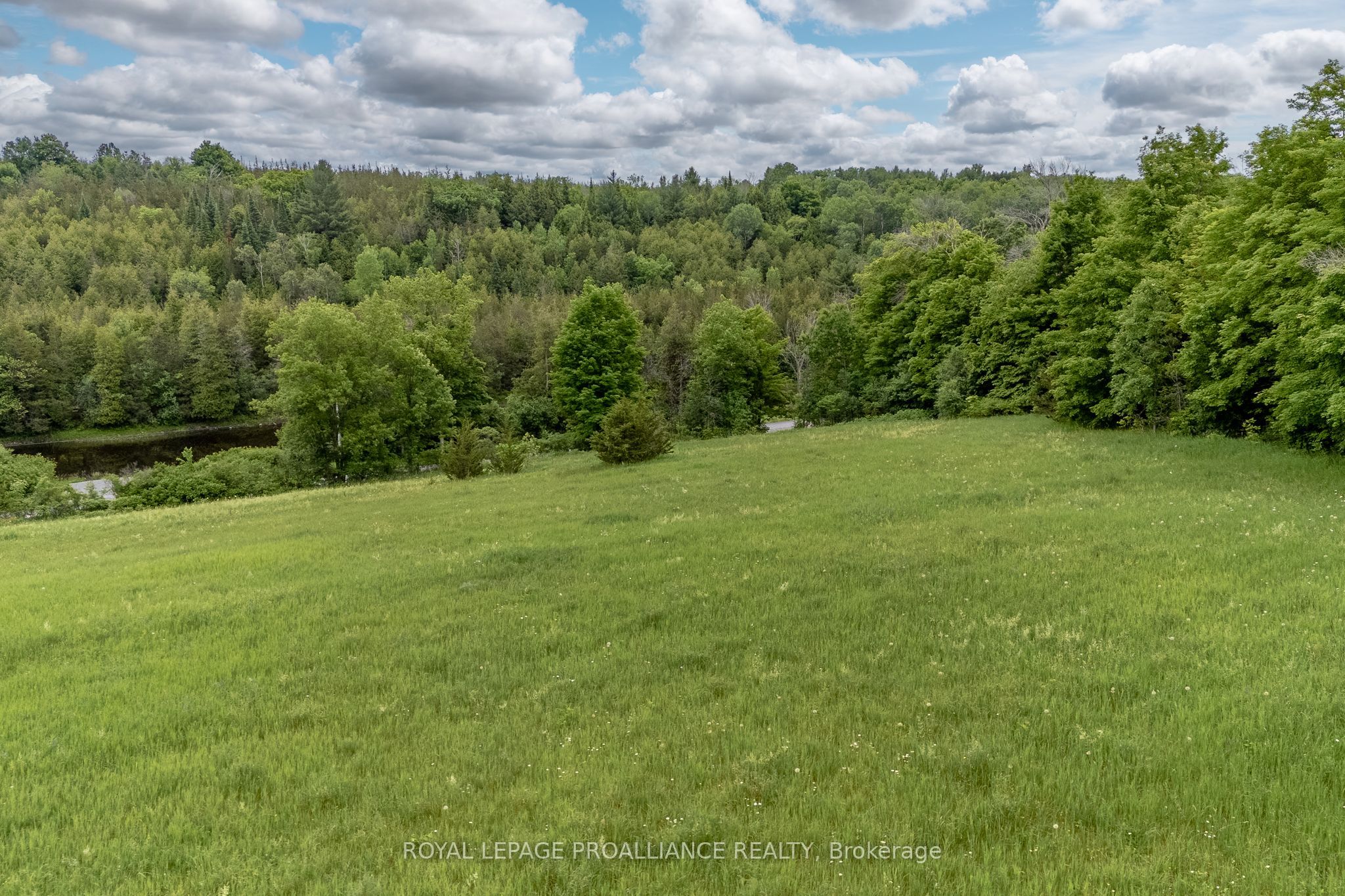 5035 Blessington Road Property Photo 24