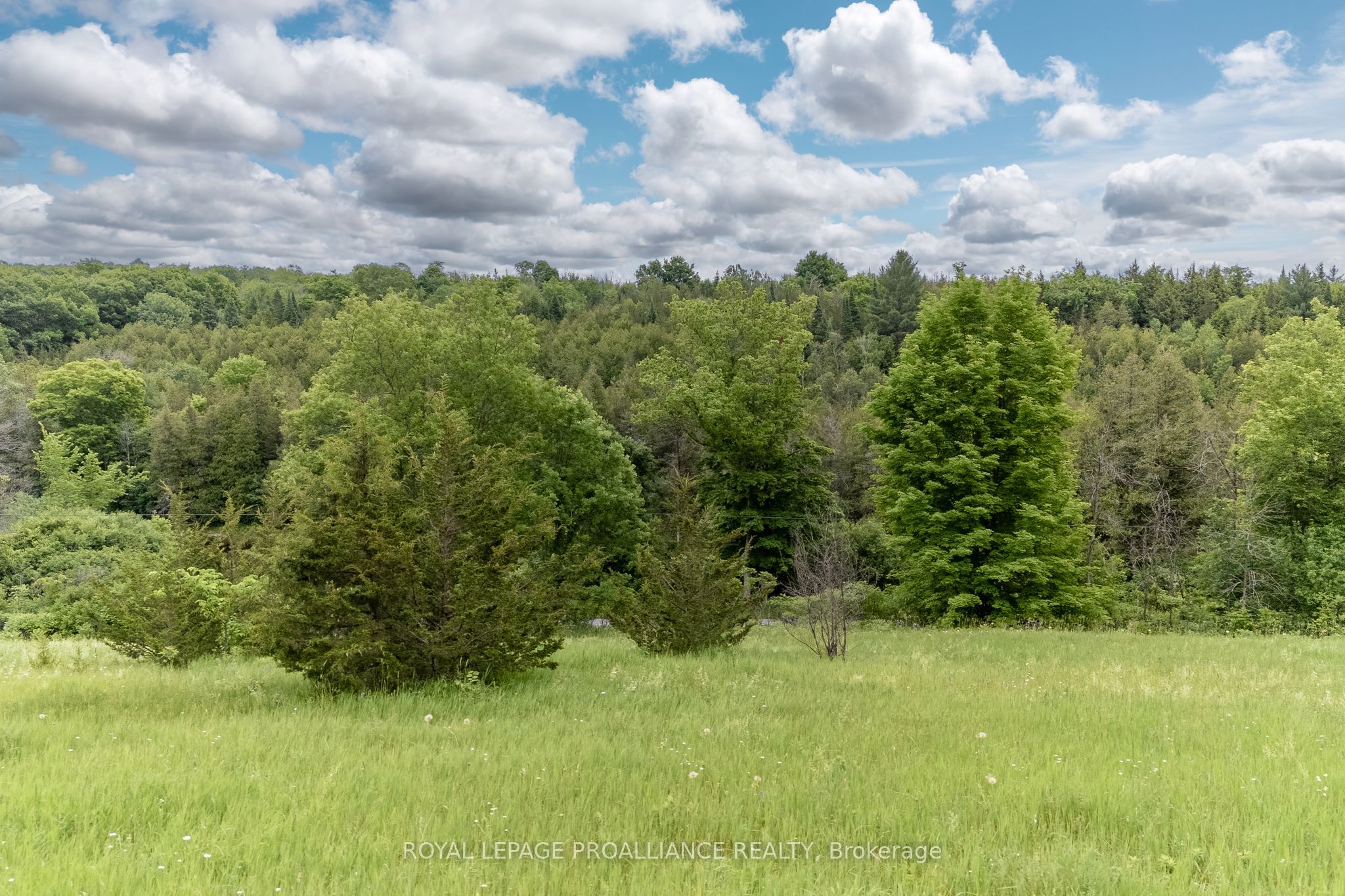 5035 Blessington Road Property Photo 25