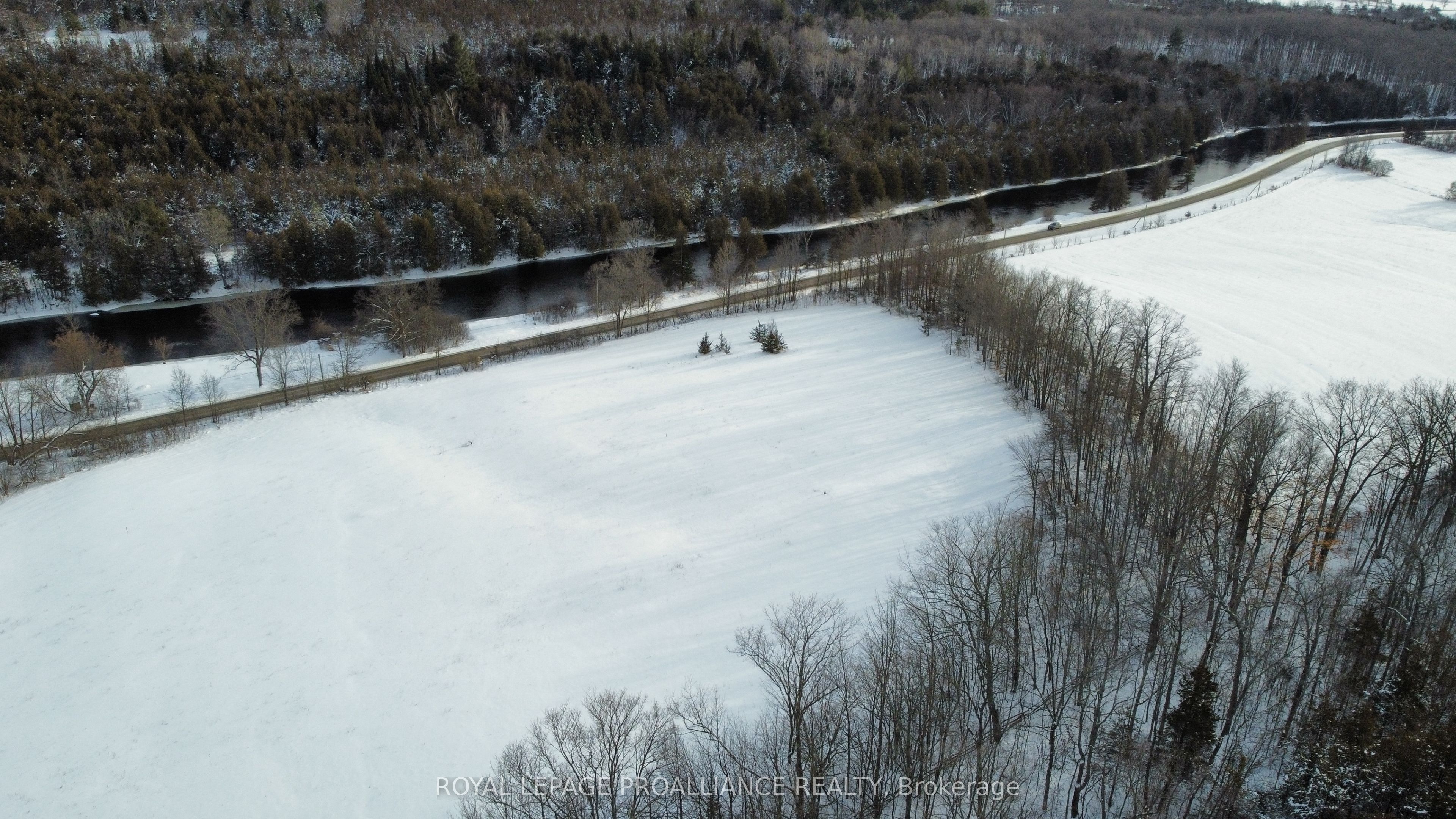 5035 Blessington Road Property Photo 31