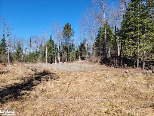0 Highway 35 Highway Property Photo 16
