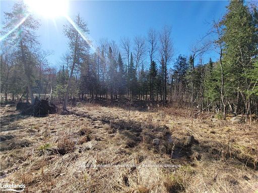 0 Highway 35 Highway Property Photo 17