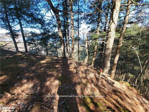 0 Highway 35 Highway Property Photo 25