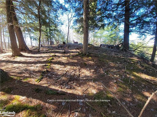 0 Highway 35 Highway Property Photo 26