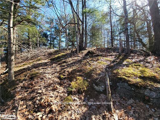 0 Highway 35 Highway Property Photo 27