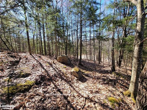 0 Highway 35 Highway Property Photo 28