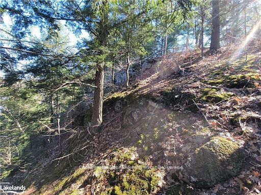 0 Highway 35 Highway Property Photo 29