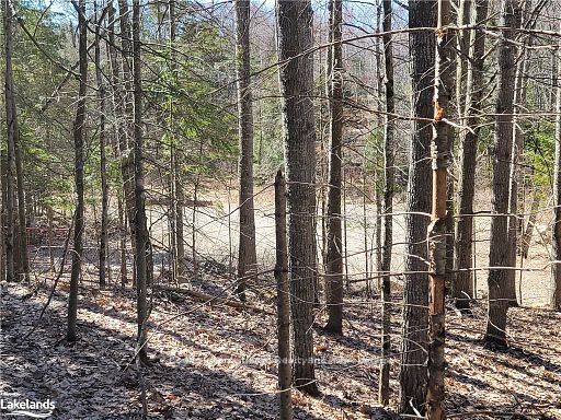 0 Highway 35 Highway Property Photo 32