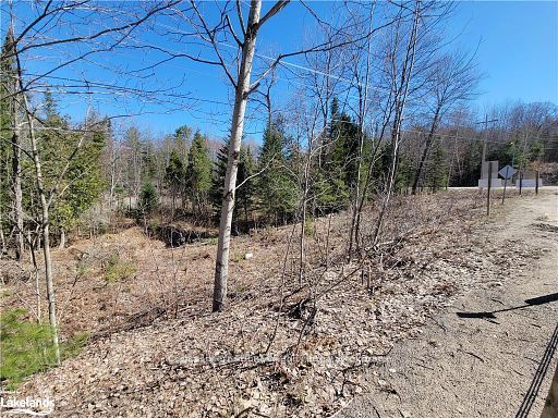 0 Highway 35 Highway Property Photo 36