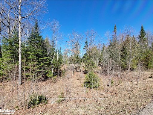 0 Highway 35 Highway Property Photo 39