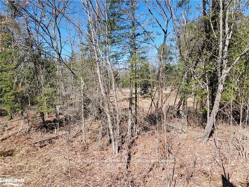 0 Highway 35 Highway Property Photo 40
