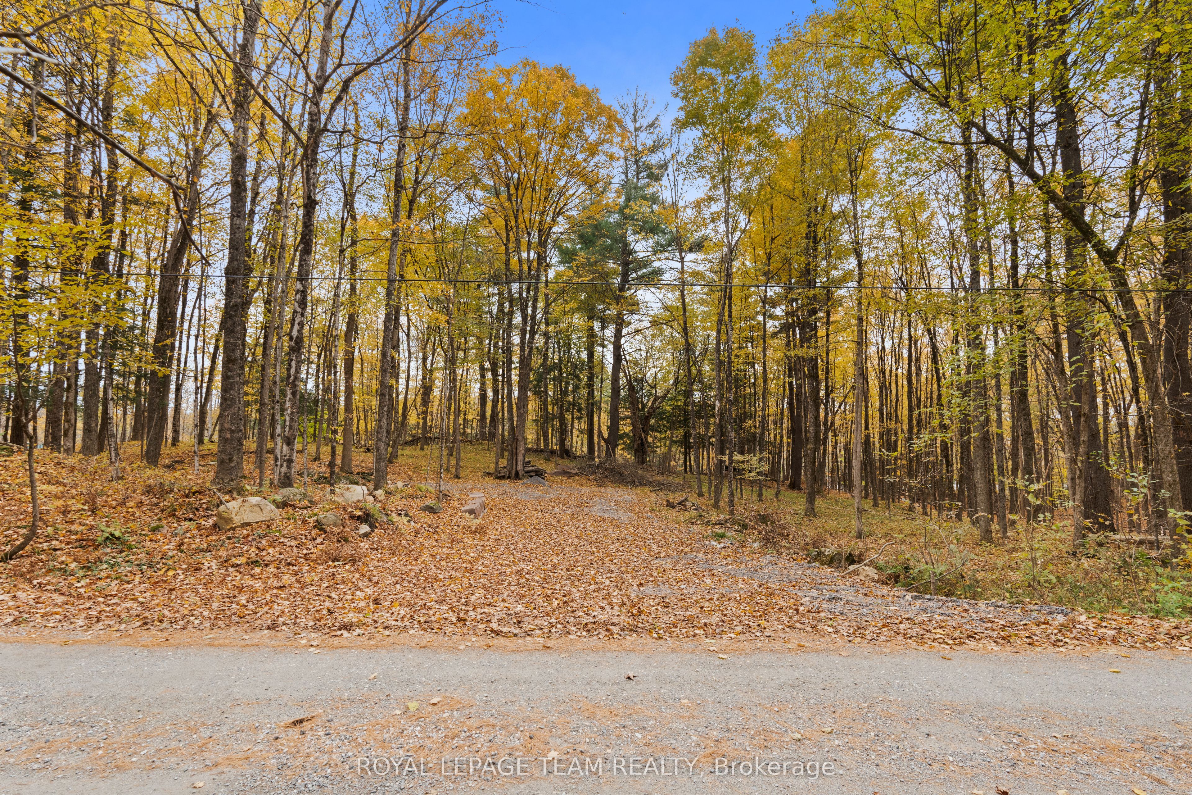 Clayton Real Estate Listings Main Image