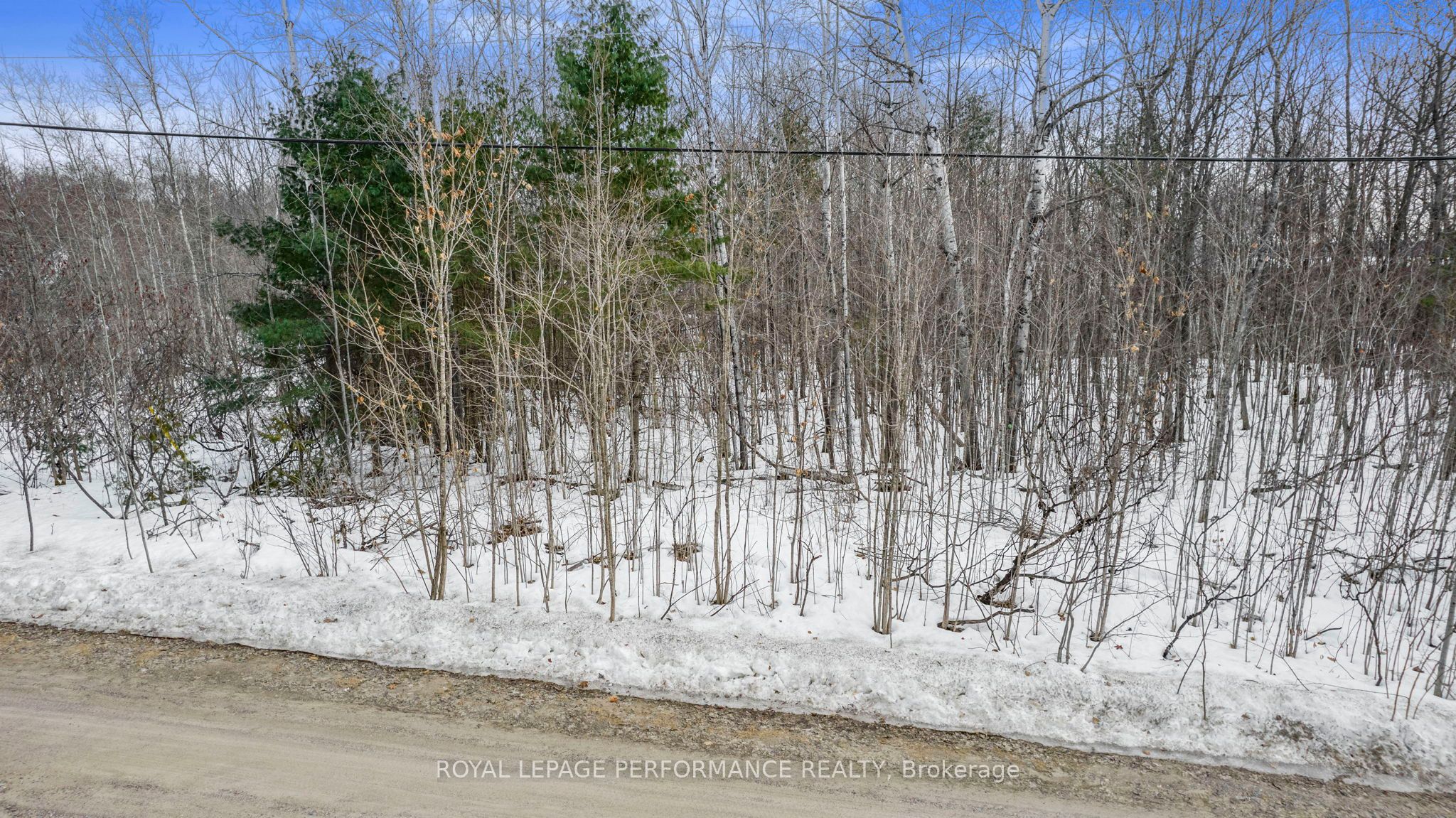 0 Legree Street Property Photo 2