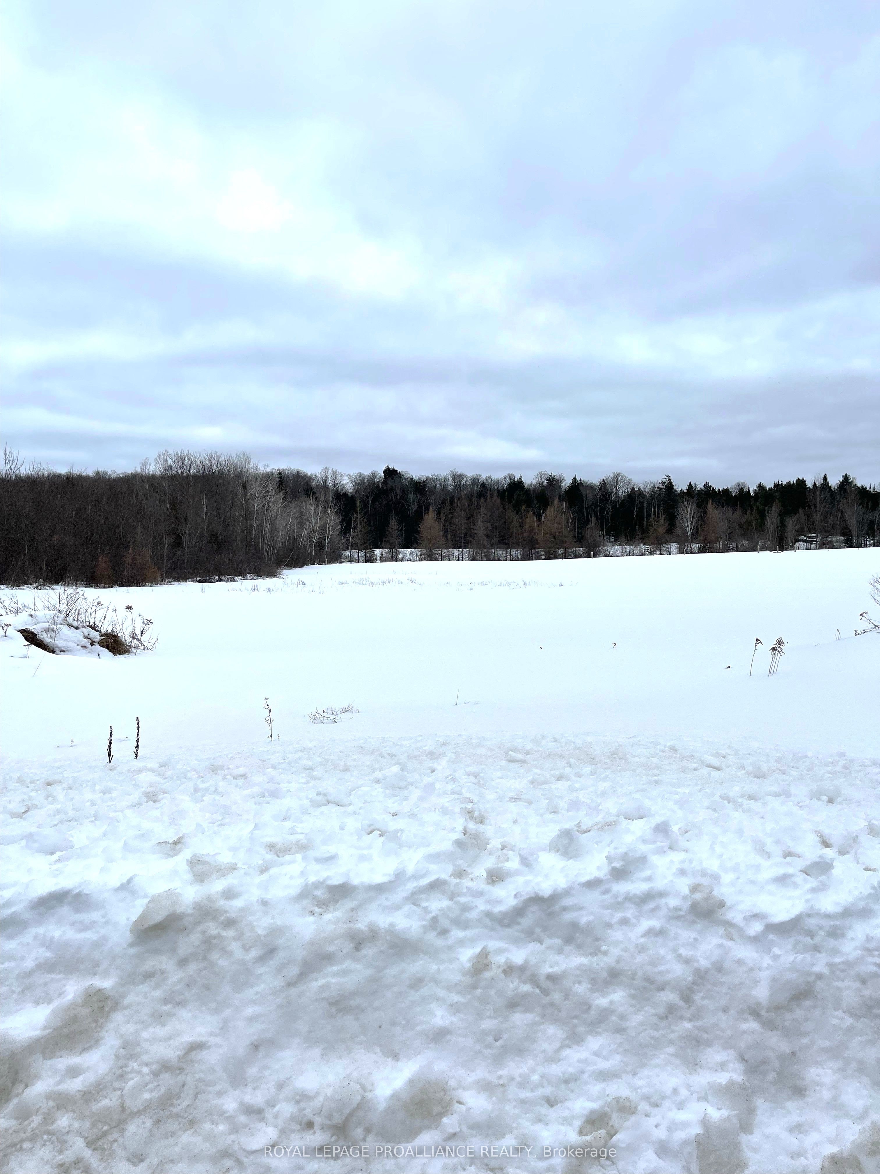 1226 Gull Lake Road Property Photo 2