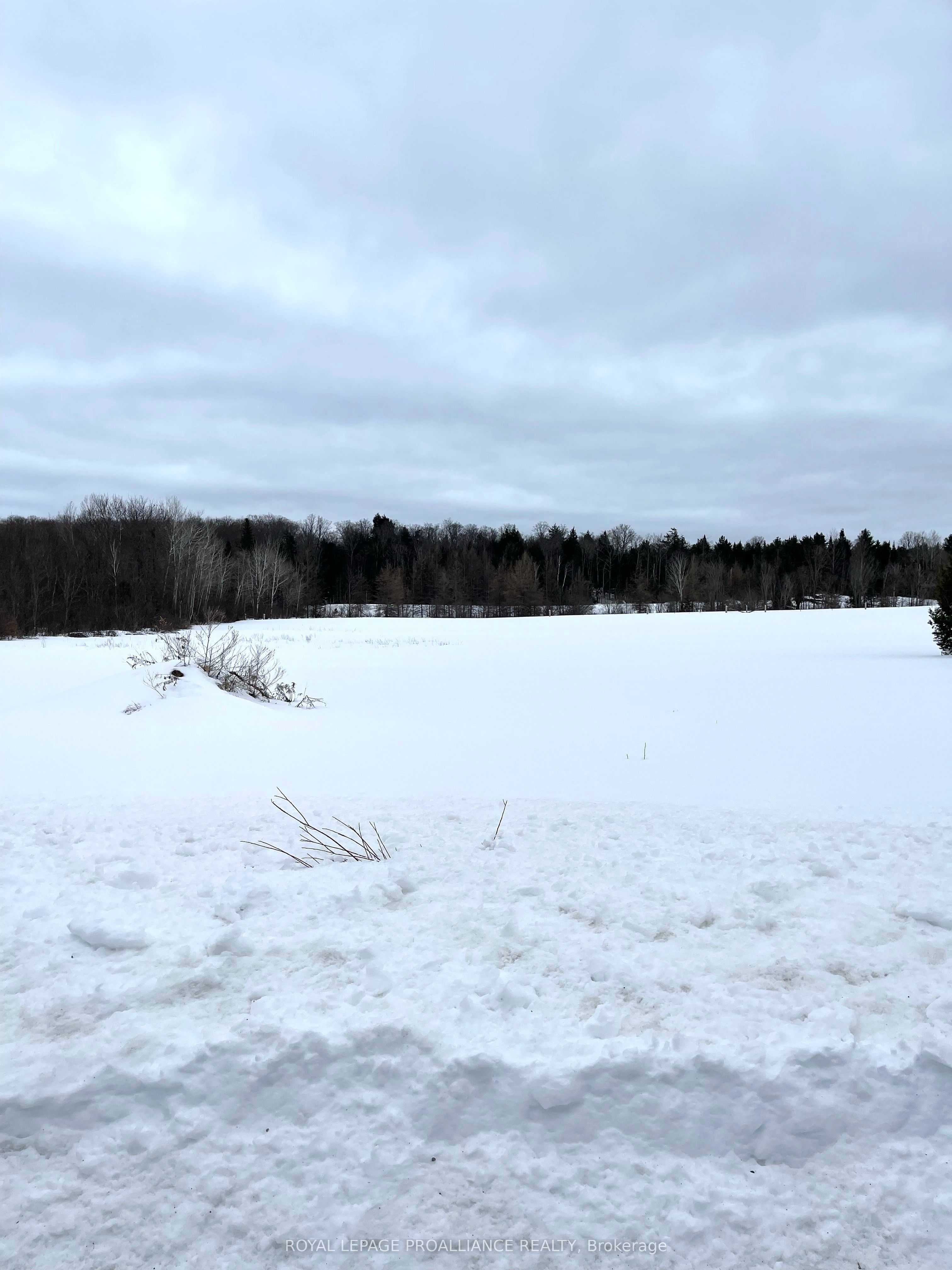 1226 Gull Lake Road Property Photo 3