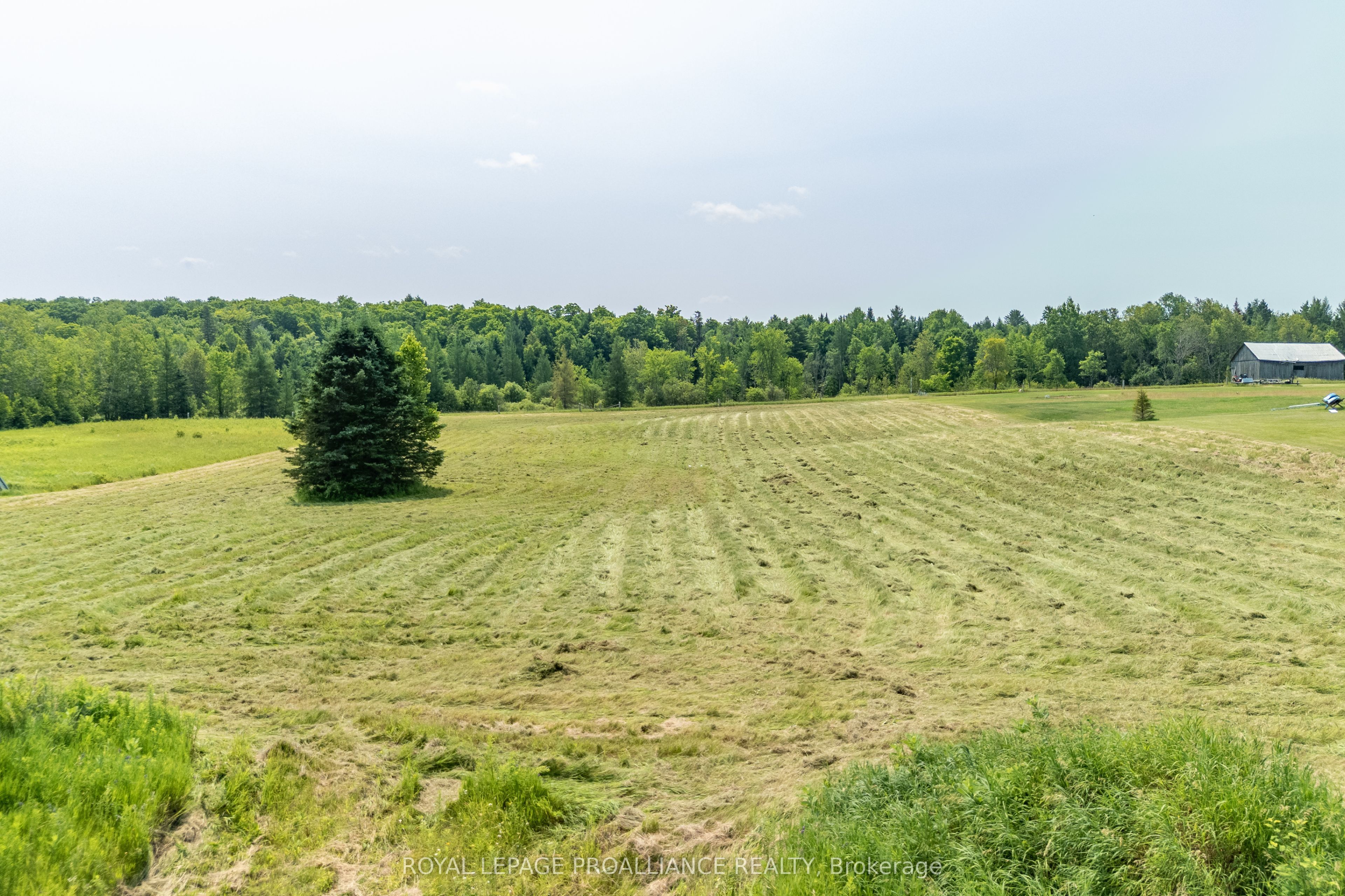 1226 Gull Lake Road Property Photo 3
