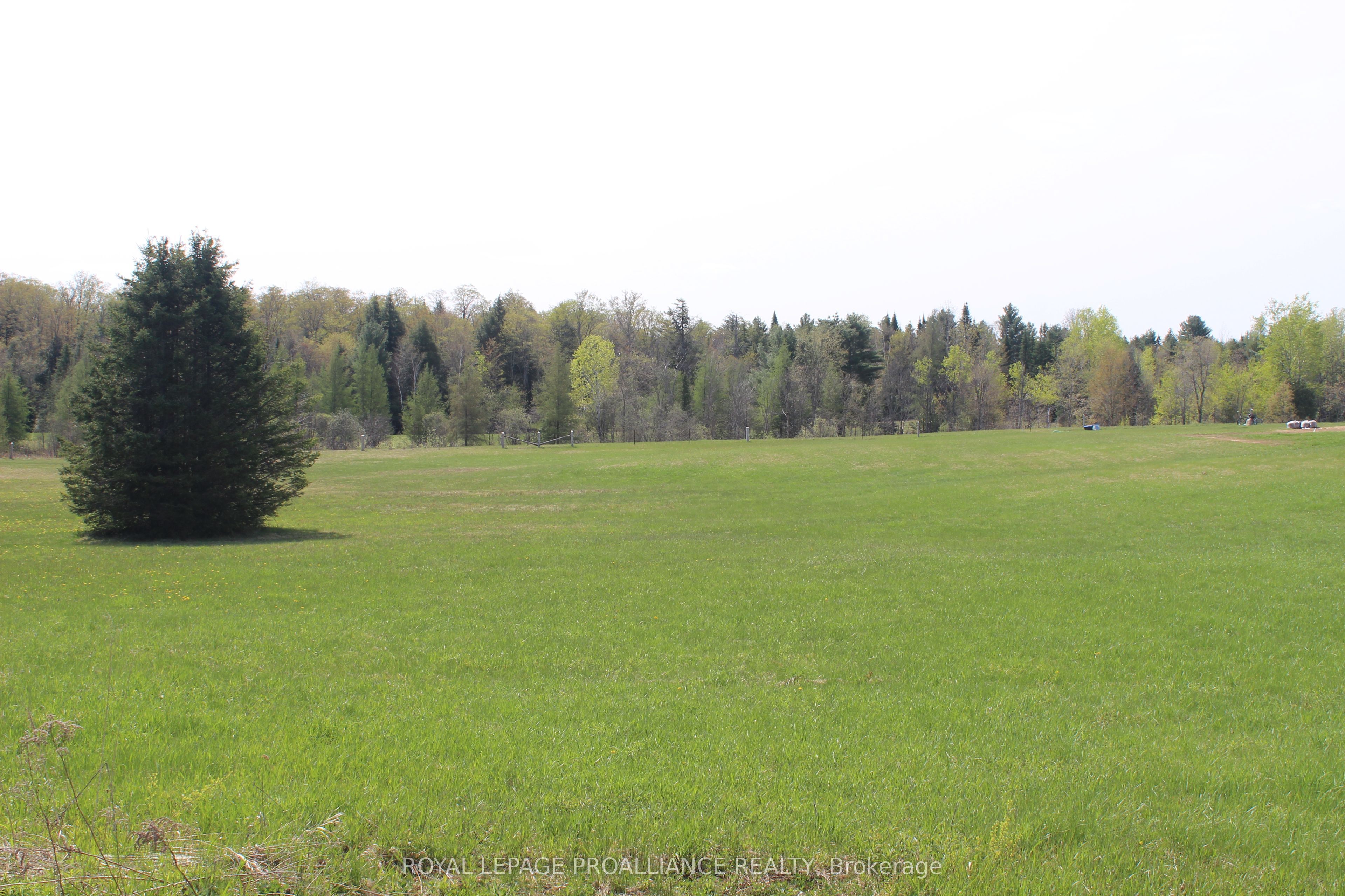 1226 Gull Lake Road Property Photo 4