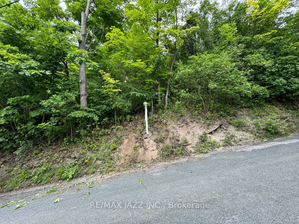 0 Maple Street Property Photo 2