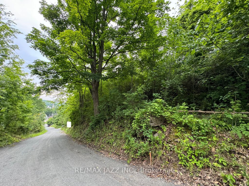 0 Maple Street Property Photo 3
