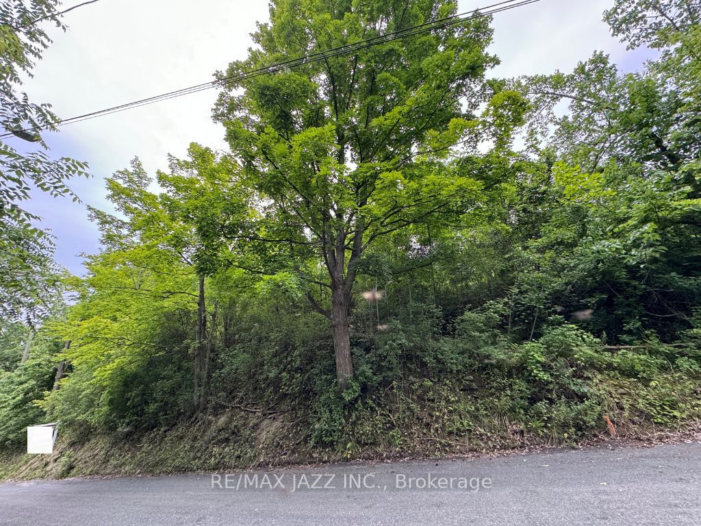 0 Maple Street Property Photo 4