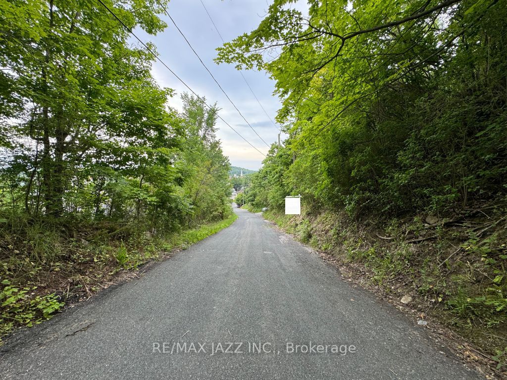 0 Maple Street Property Photo 5