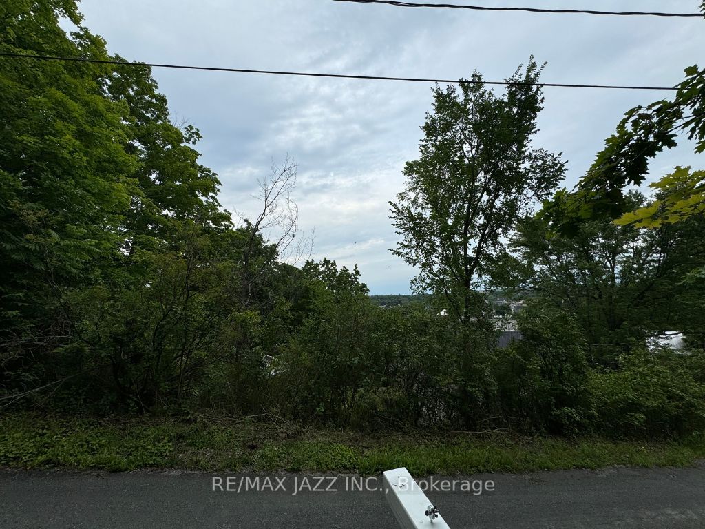 0 Maple Street Property Photo 6