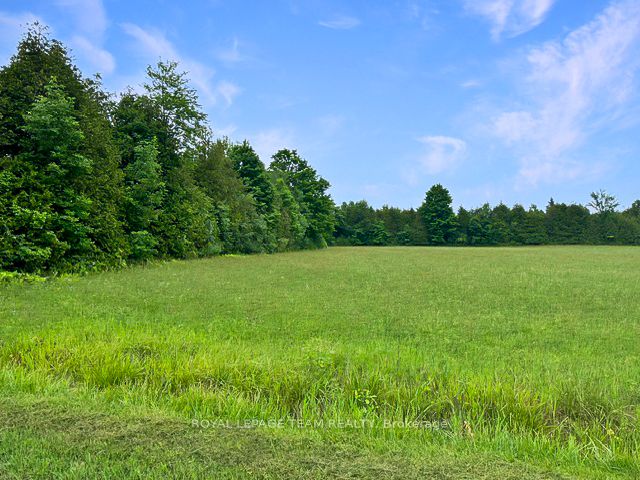 7191 Malakoff Road Property Photo 2