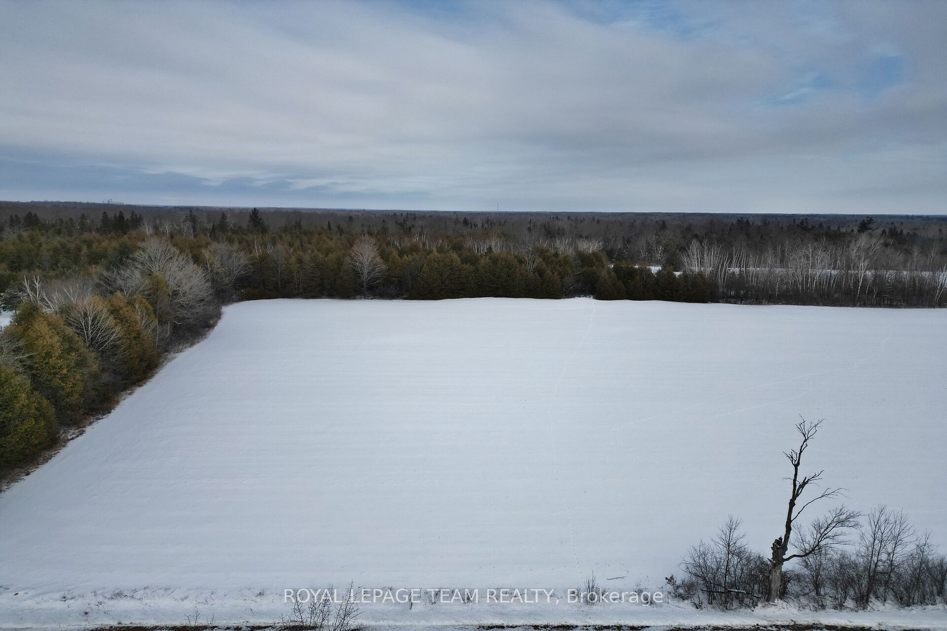 7191 Malakoff Road Property Photo 15
