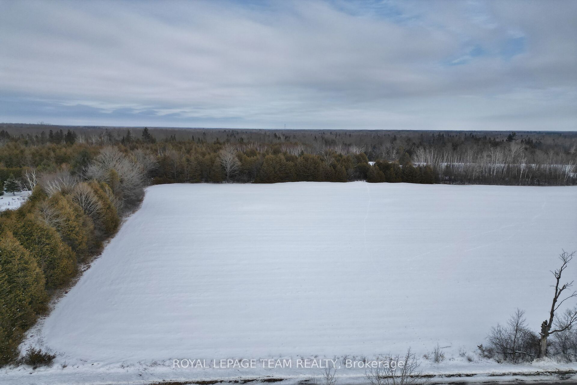 7191 Malakoff Road Property Photo 16