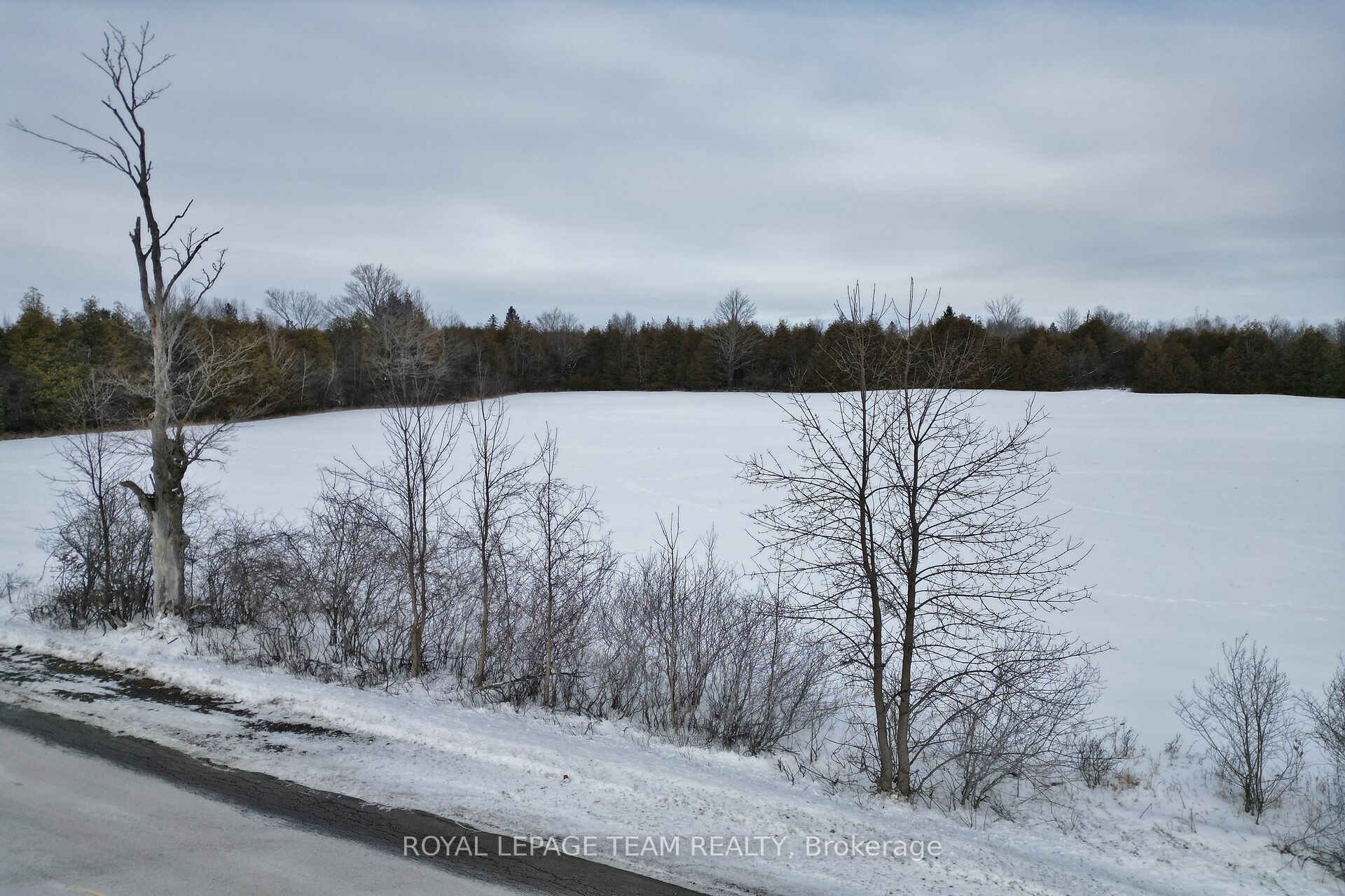 7191 Malakoff Road Property Photo 19