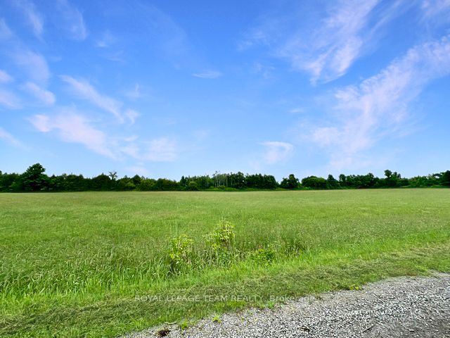 7205 Malakoff Road Property Photo 3