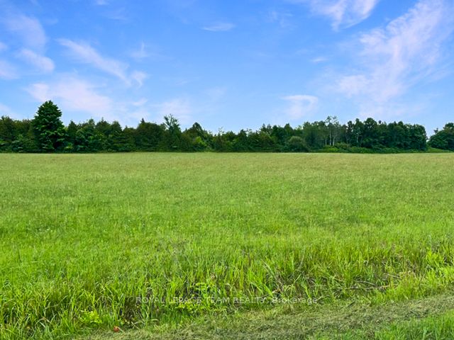 7205 Malakoff Road Property Photo 4