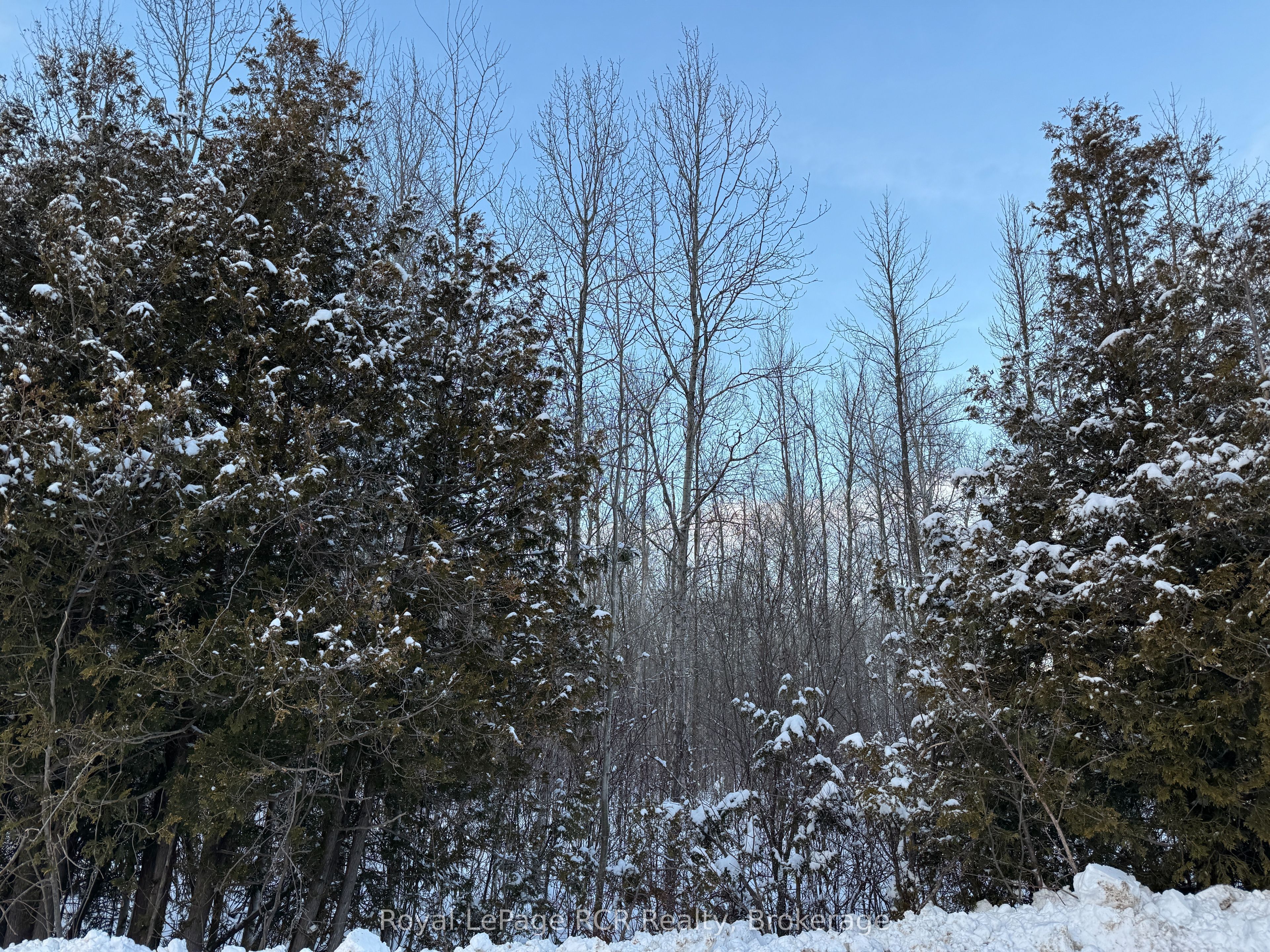 216 Country Road Property Photo 1