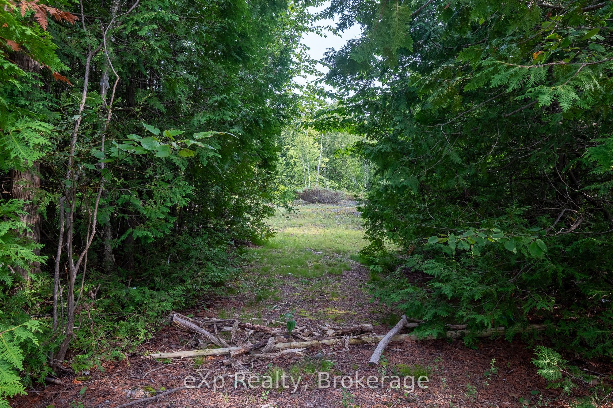 Lt 36 Property Photo 13