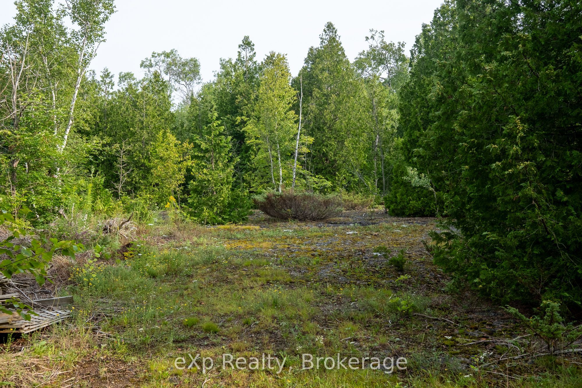 Lt 36 Property Photo 14