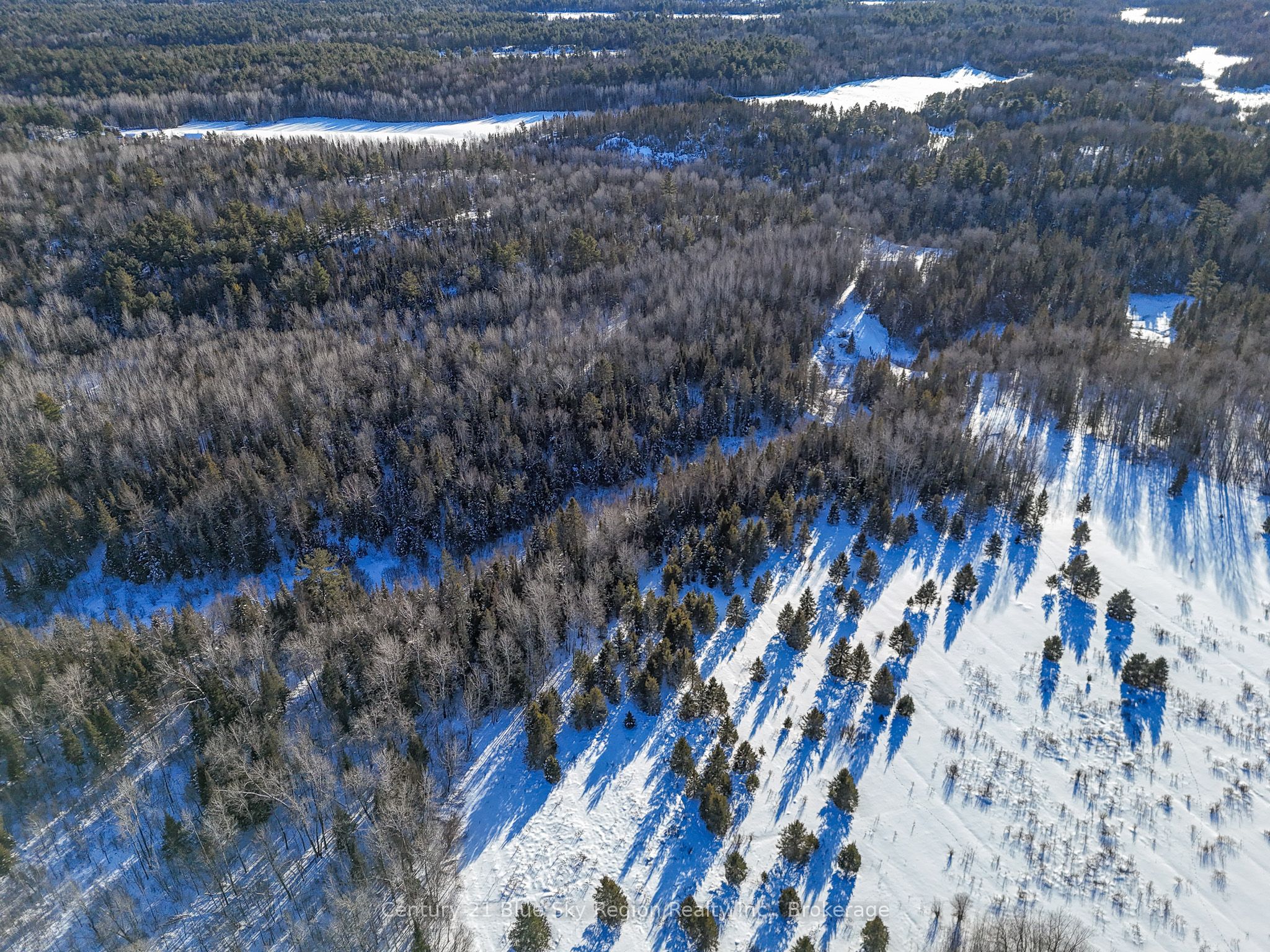 561 Mcdonald Road Property Photo 13
