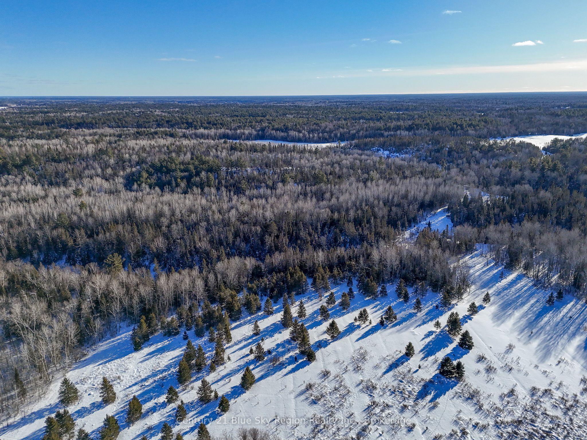 561 Mcdonald Road Property Photo 15
