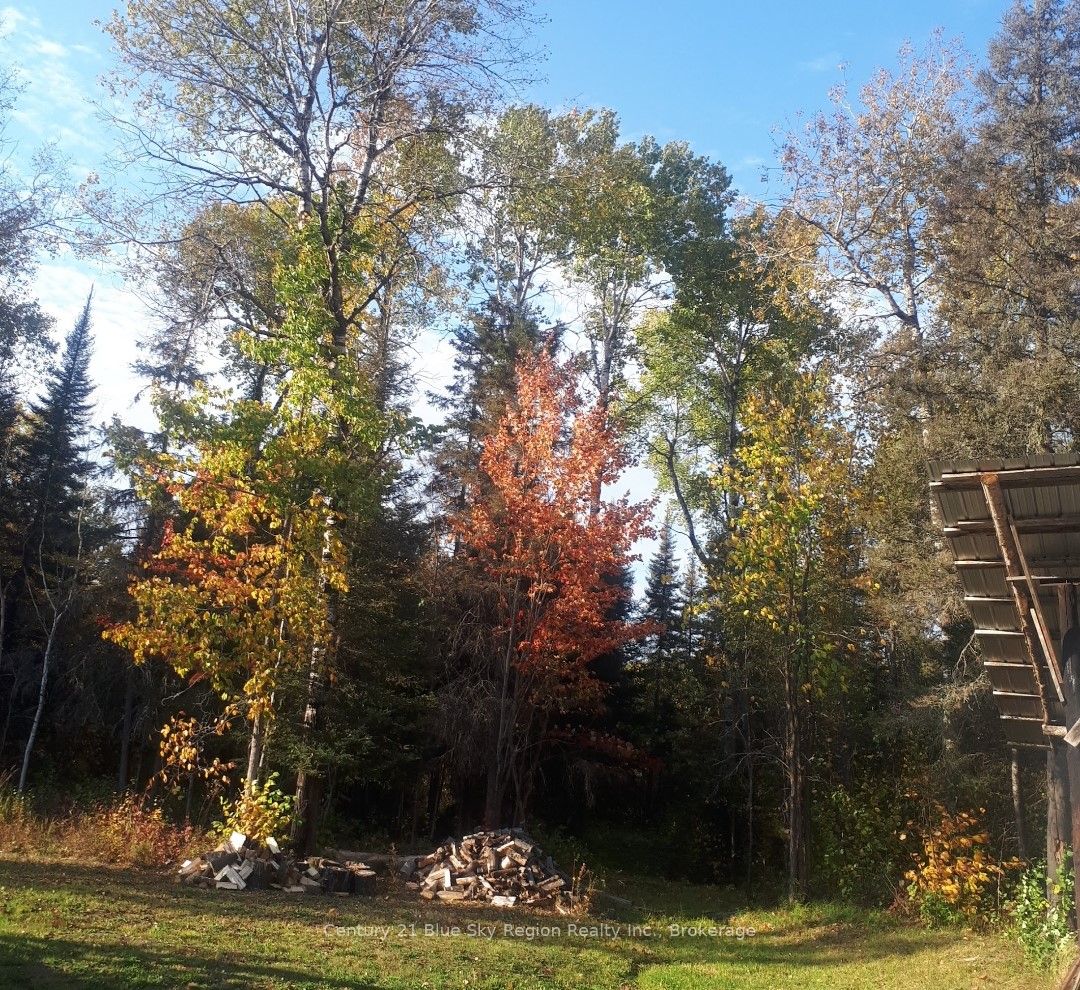 561 Mcdonald Road Property Photo 25