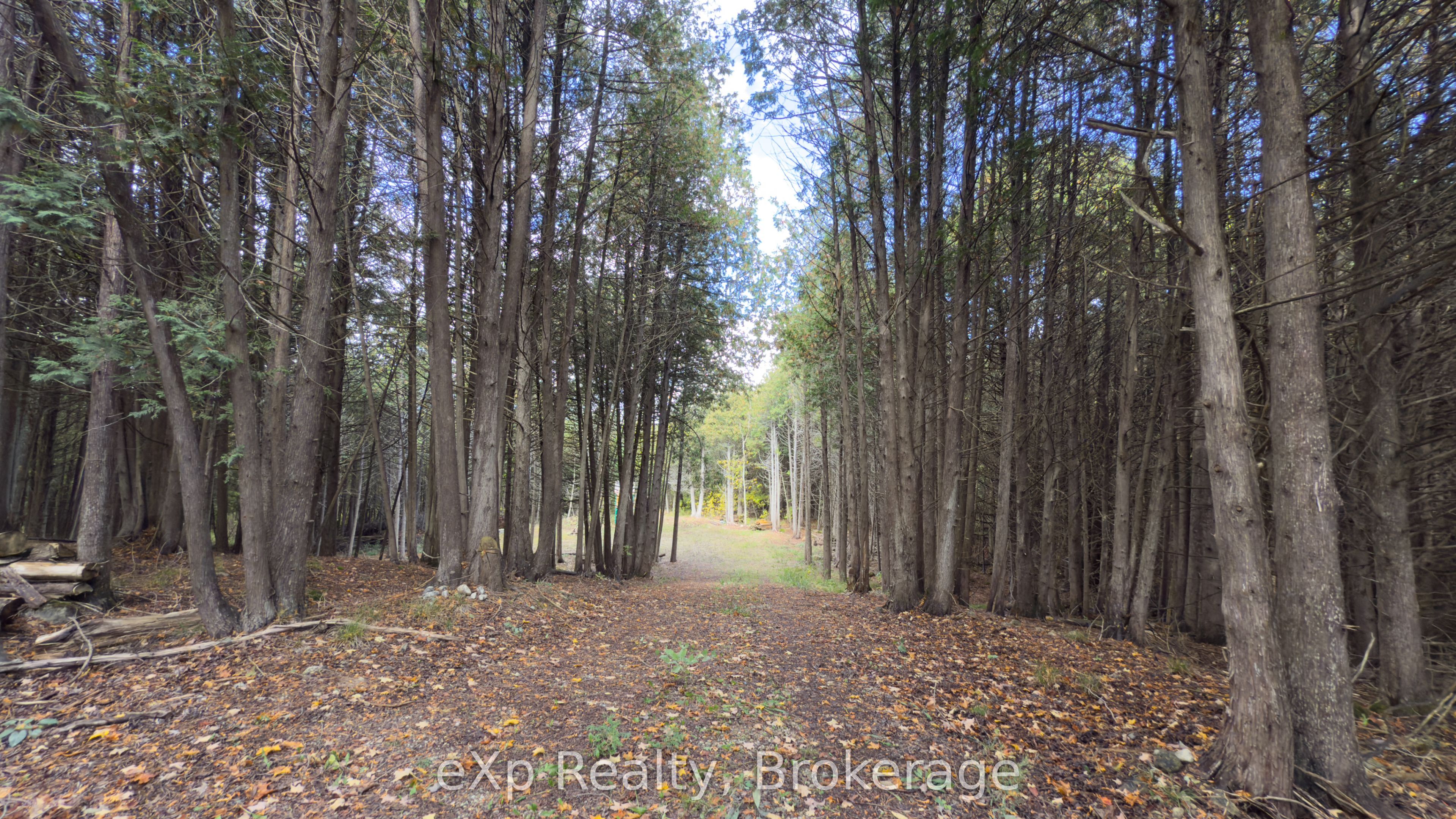 382233 Concession 4 Ndr Road Property Photo 10