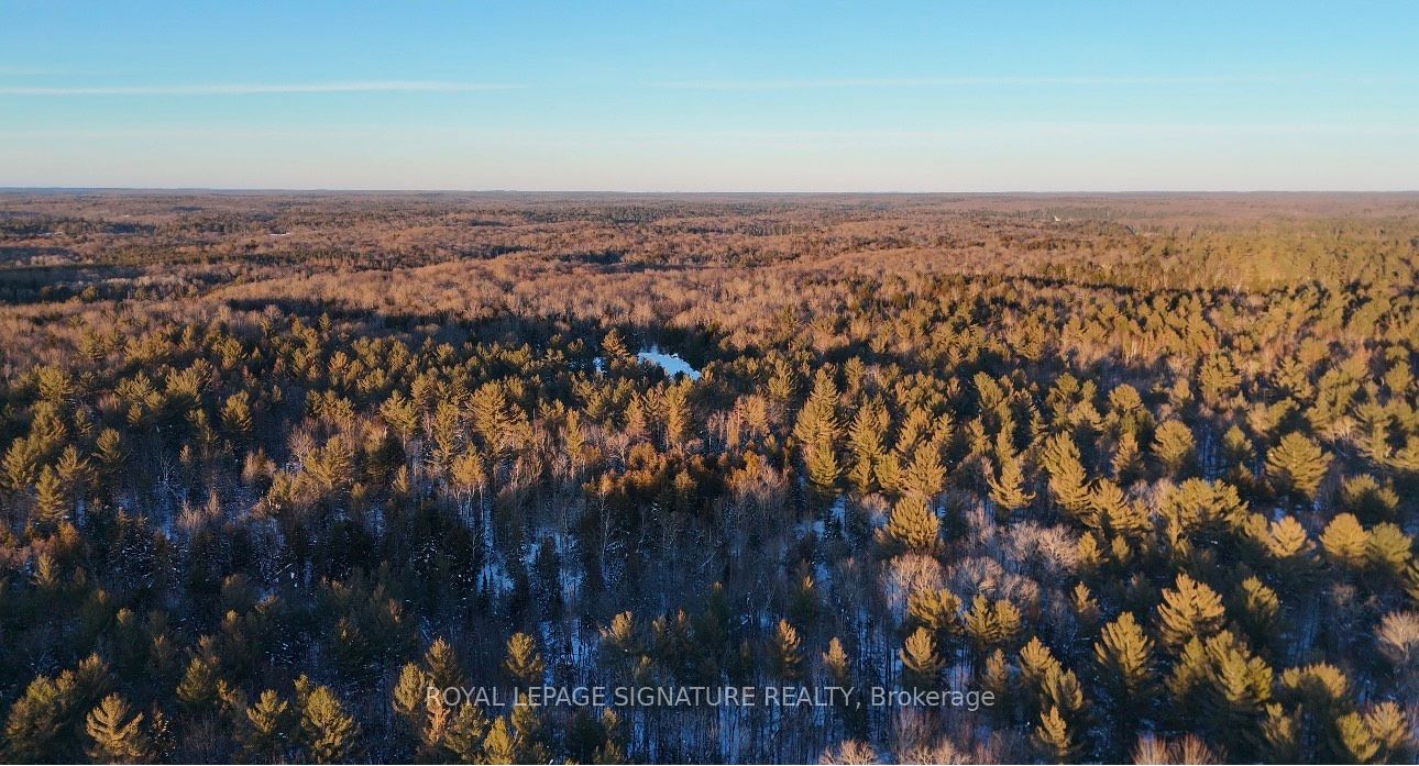 Lot 15 Con 5 Macaulay Property Photo 1