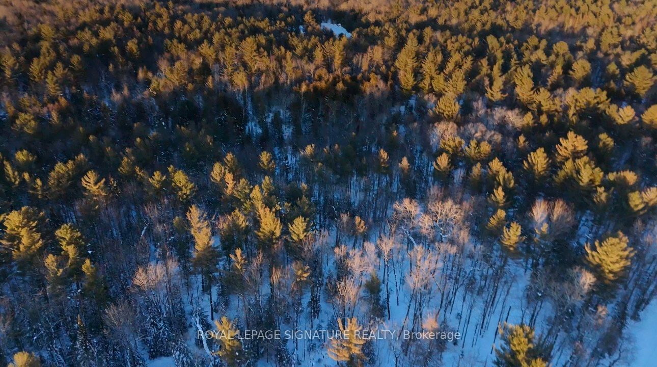 Lot 15 Con 5 Macaulay Property Photo 2