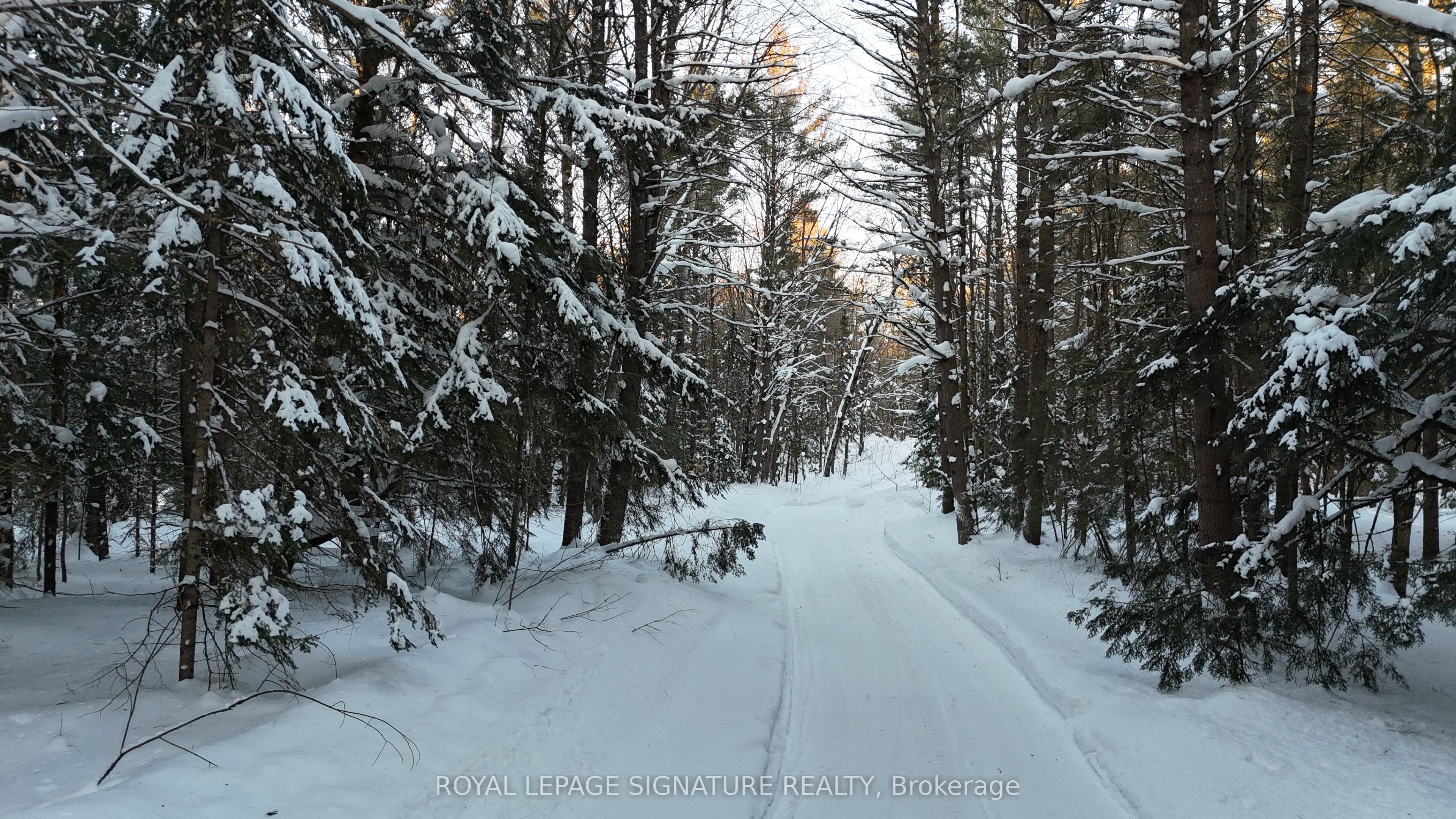 Lot 15 Con 5 Macaulay Property Photo 3